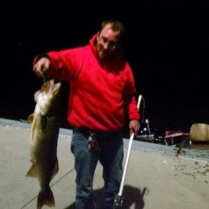 Meet your Posher, Shawn